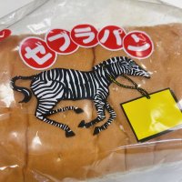 やしき👨🏻 (@yurushitamau) 's Twitter Profile Photo