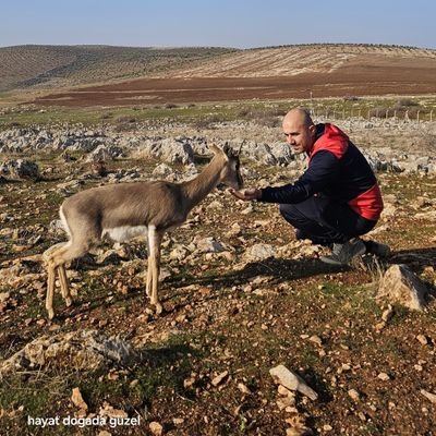 DegerKaya3's profile picture.