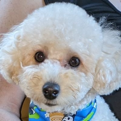 BUNBUNB41044055's profile picture. ※ﾍｯﾀﾞｰ画像 ﾌｫﾛﾜｰさんにお借りしました❤︎主にお弁当upしてます😊

simpleで地味~なお弁当ですが
見てくれる人がいると思うと
ﾓﾁﾍﾞ上がります😆
品数少なめです💦

たま~にﾍﾟｯﾄ(ﾄｲﾌﾟｰ♂)や
おうちご飯も♡

因みにkeiは名前の1文字を
音読みにしました🍀*゜