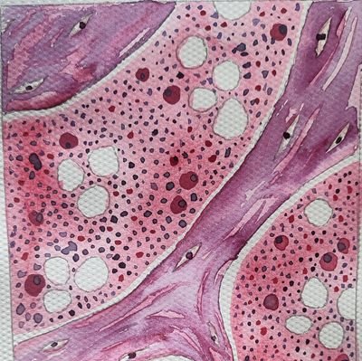 Acuarelas y detalles de histología y anatomía patológica ✨🔬
Comenzando a compartir mi arte 💜💕
Info y precios MD