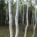 Randall Small - @randallsmall - Twitter