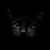 F1H1D (@aft_2oo2) Twitter profile photo F1H1D (@aft_2oo2) Twitter profile photo
