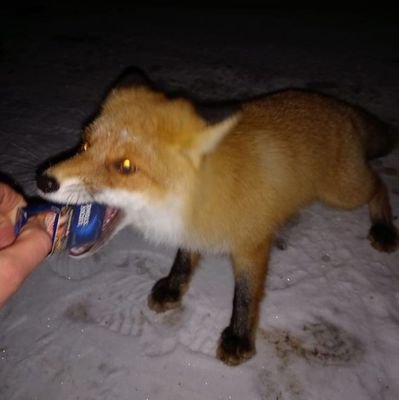 04286d's profile picture. 