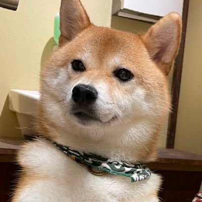 広告代理店→25歳でセブ留学→シドニー→2019年に帰国。現在は地域創生に関わる仕事をしてます。賢くお金を増やすため固定費の削減や投資の勉強中。