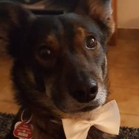 MWM (@w_0574) Twitter profile photo