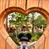 瑛(Eriza) (@canopus_311) Twitter profile photo