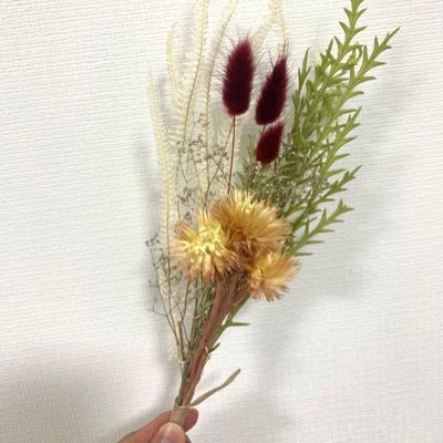さいかさんのプロフィール画像