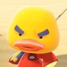 ぴ゛こさんのプロフィール画像