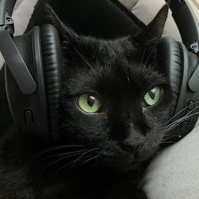 mikaInCode's profile picture. 