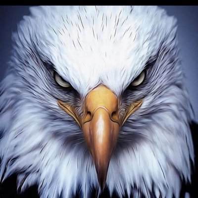 DankoOdieGoku's profile picture. Invertir en informarte por ti mismo es la mejor inversión de la vida. CRIPTO. Noticias Globales. Patriota