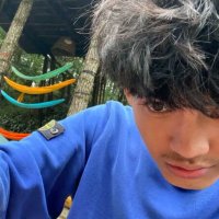 Ikall (@hlbrn13) 's Twitter Profile