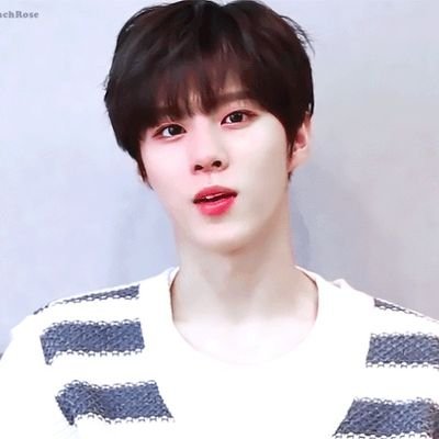 anniokkan's profile picture. istp