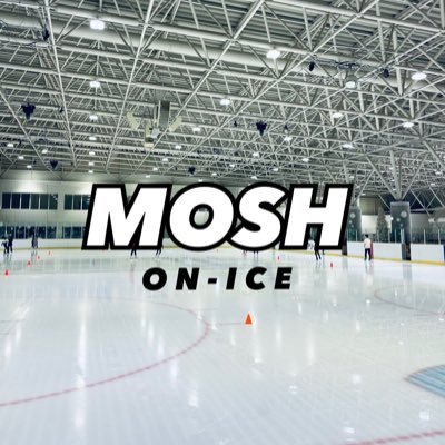 Niigata pref./スポーツ観戦/アイスホッケー・アイススケート/無言フォローすみません