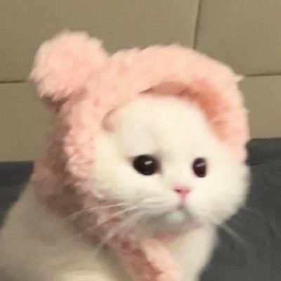 ✦ 𝐋 —🥟さんのプロフィール画像