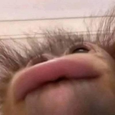 thenewnoticer's profile picture. 