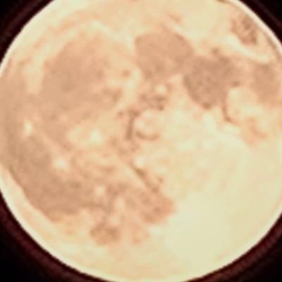 bubbles22356's profile picture. 