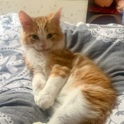 Rebz62's profile picture. 