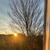 🌸🌺🌼 (@bttrfly_bttrfly) 's Twitter Profile Photo