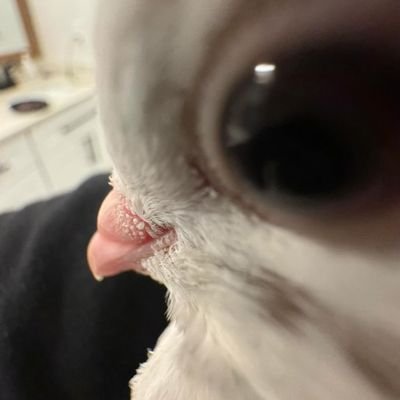 SWEETESTLESD0E's profile picture. ⠀⠀⠀⠀⠀🍷 https://t.co/1E4n7HTKGN https://t.co/NLzoJmcE25  read the strawpage to know who i am lalalalala