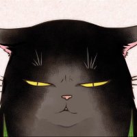 ぜろす＠ｹﾓ耳使いの嫁 🐈️ (@xelloss0204) 's Twitter Profile Photo