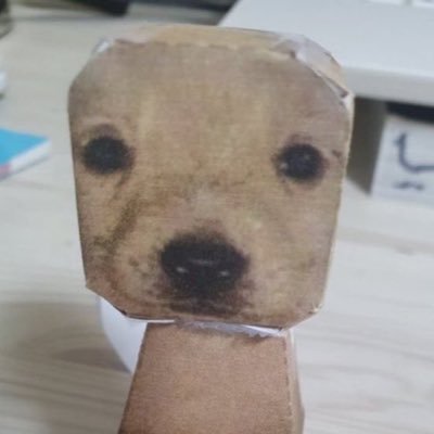 메주さんのプロフィール画像