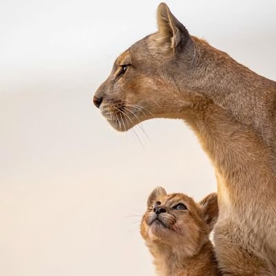 BarackaGoodluc1's profile picture. 🧡Betting💵 @🧡$young african fans🧡@$chelsea 4 life#🧡@hustler
never give up@
trust no one except urself