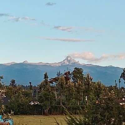 vockykhalifa254's profile picture. patience pays