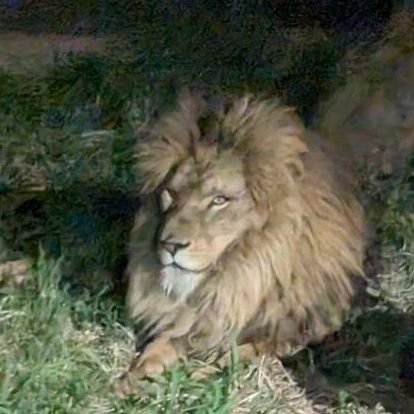 kM29BIH6tg41423's profile picture. 