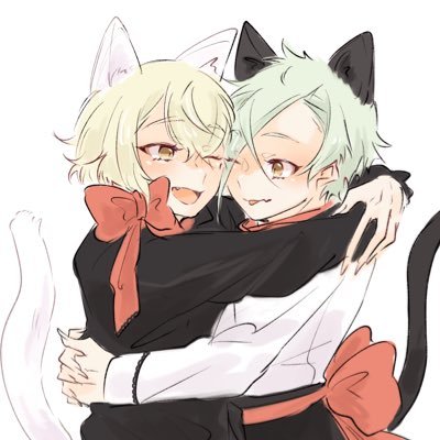 しらたまさんのプロフィール画像