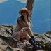 Hillary (@onmyway7788) Twitter profile photo Hillary (@onmyway7788) Twitter profile photo