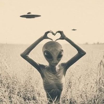 Lanatubarrera's profile picture. 🫠Odiadora serial del verano hijo de puta.