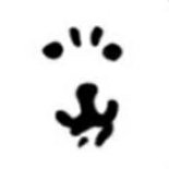 AMACOM_17's profile picture. 