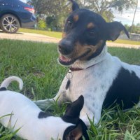 LIZ DEJESUS (@lizde4547) 's Twitter Profile Photo LIZ DEJESUS (@lizde4547) 's Twitter Profile Photo