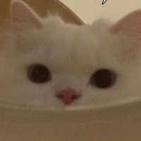 안경 (@hakkyu8) 's Twitter Profile