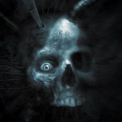 wedgexvi's profile picture. Here for the shit show