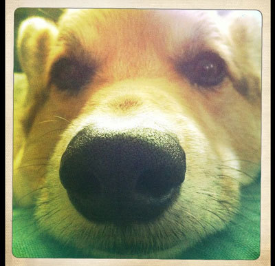 Webswers's profile picture. I want to answer ever question in the world so please ask me any via Twitter or my website.