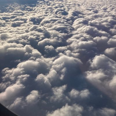 lamiaculta's profile picture. ANCAP, DeFi, music and what not.