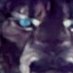 mancubus bloodtooth the fifth (@crumpfleabottom) Twitter profile photo mancubus bloodtooth the fifth (@crumpfleabottom) Twitter profile photo