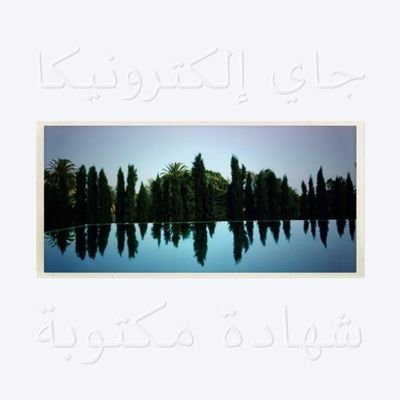Oriosa_177's profile picture. Wabi Sabi