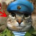 Karl (@karl_1942) Twitter profile photo Karl (@karl_1942) Twitter profile photo