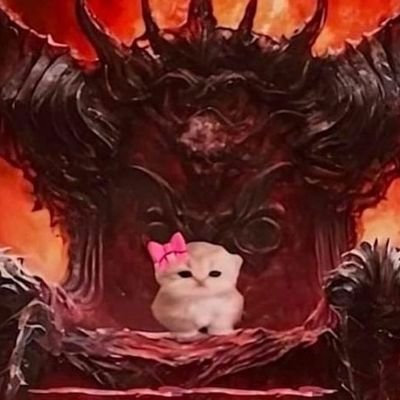 kitchigillo's profile picture. 