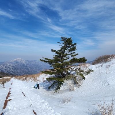 IU70631375's profile picture. 