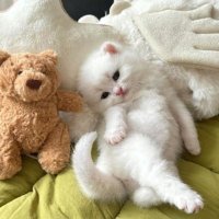 꾸양 (@takuwon1e) 's Twitter Profile Photo 꾸양 (@takuwon1e) 's Twitter Profile Photo