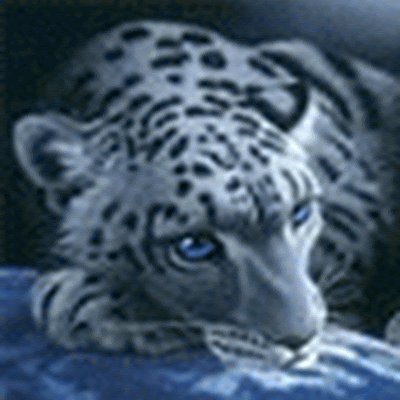 @nikolay_it