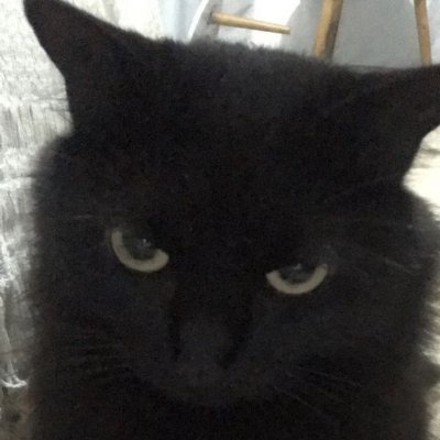 LesbianDikye's profile picture. 