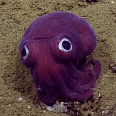 KristantyoN's profile picture. 