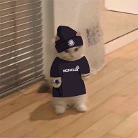 Gabagool.5mbk (๐,๐ผ) (@0xgabagool) 's Twitter Profile