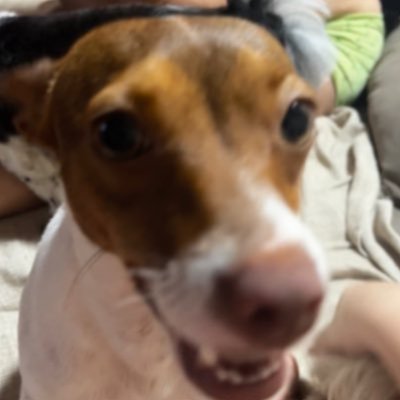 esquisita e esquizofrenica