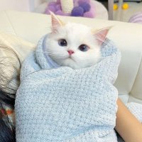 กูไม่ได้เปย์ กูแค่แบ่งเงินให้เขาใช้ ◡̈ ⑅.=͟͟͞♡.. (@nosuarruz) 's Twitter Profile