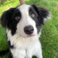 Dylan (@dylan36229132) 's Twitter Profile